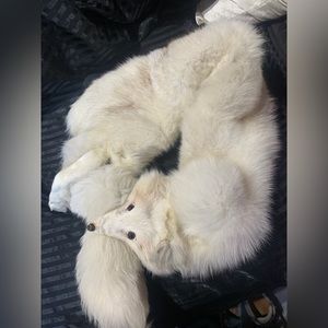 1950s Authentic real fur artic fox stole